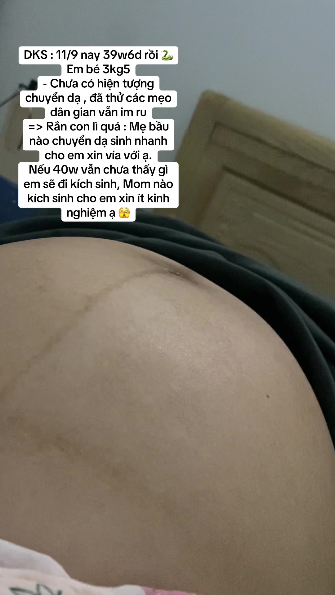 @maipt1998