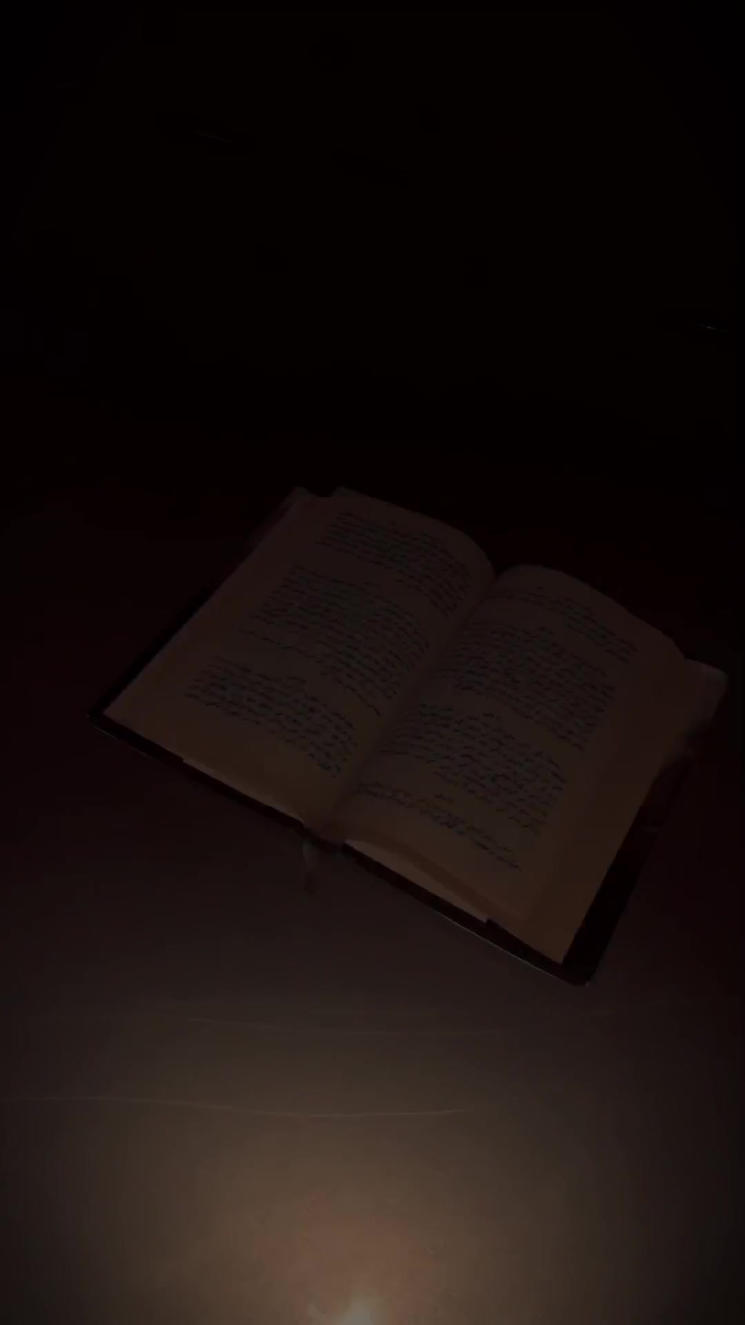 @Shobi 🕊