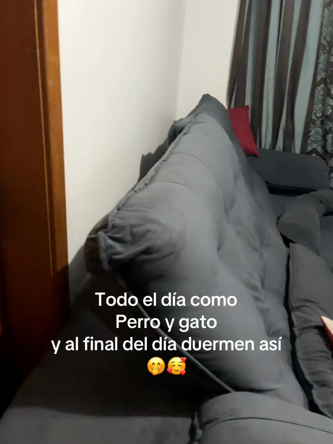 @Yacce🤗