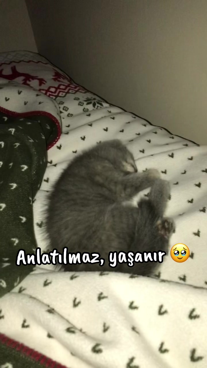 @Neşe
