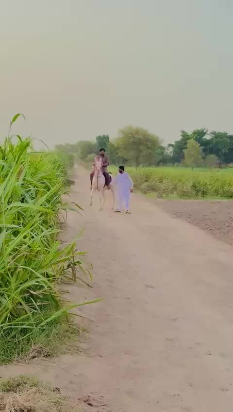 @😎DHiLLON juttt 😎