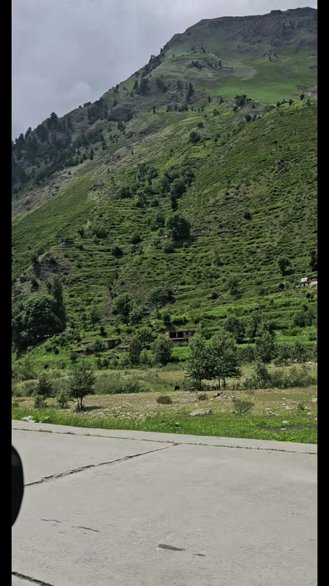 @ₒᵣdᵢₙₐᵣy⛰️ₜᵣₐᵥₑₗₗₑᵣ