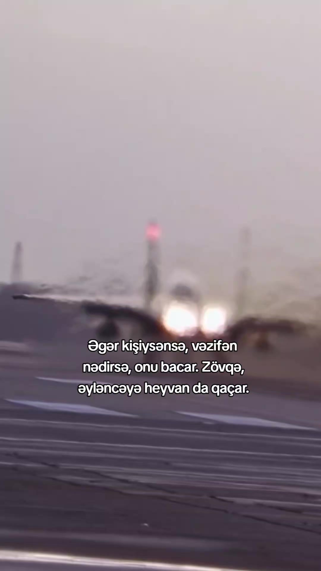 @𝗠𝗲𝗹𝗶𝗸𝗼𝘄𝘀 ⚡️