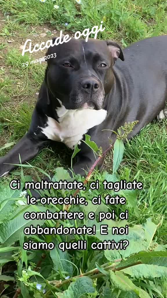 @❤️Roberta & Rey ❤️