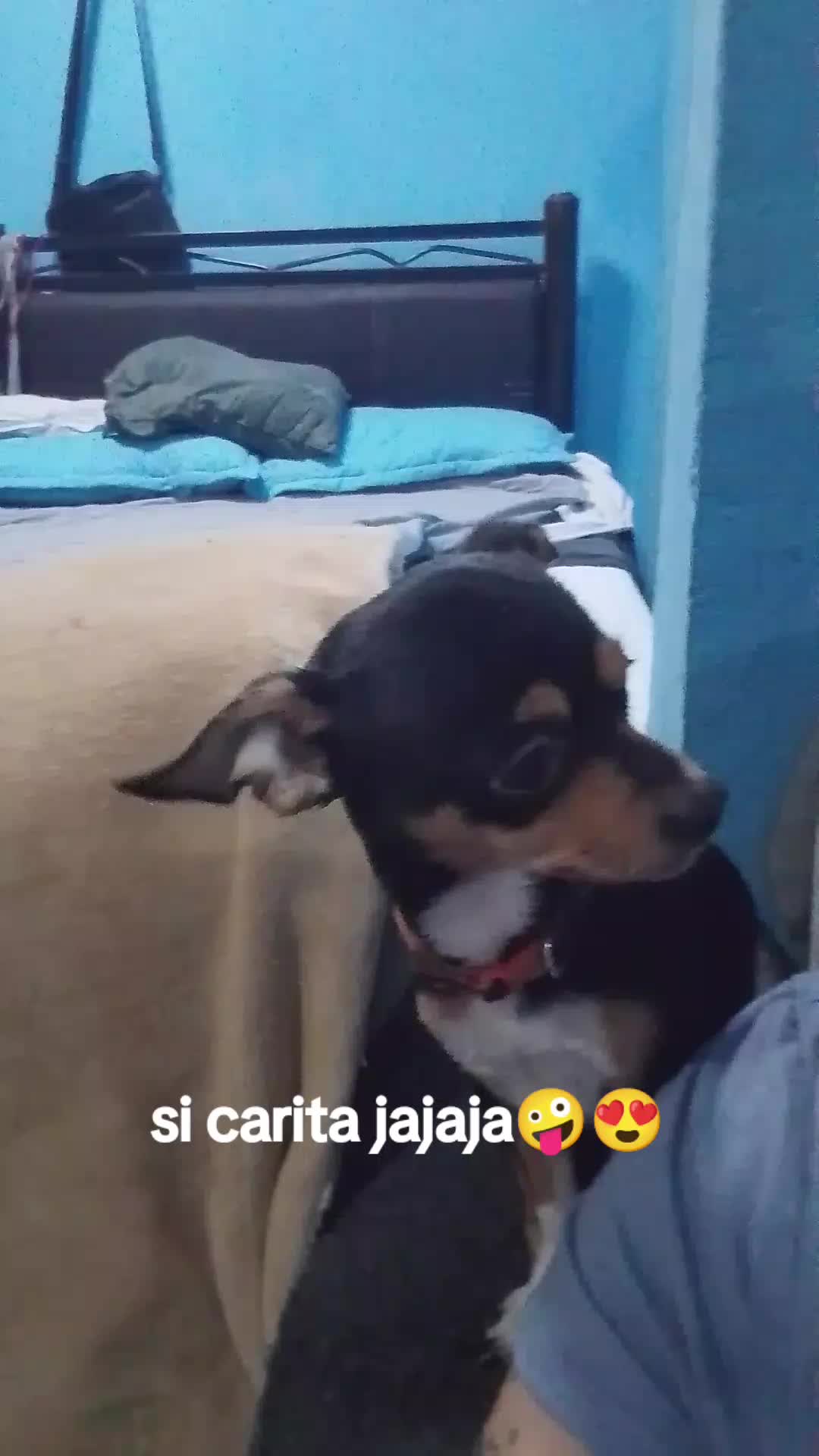 @Graciela la chilanga 🌹🇲🇽