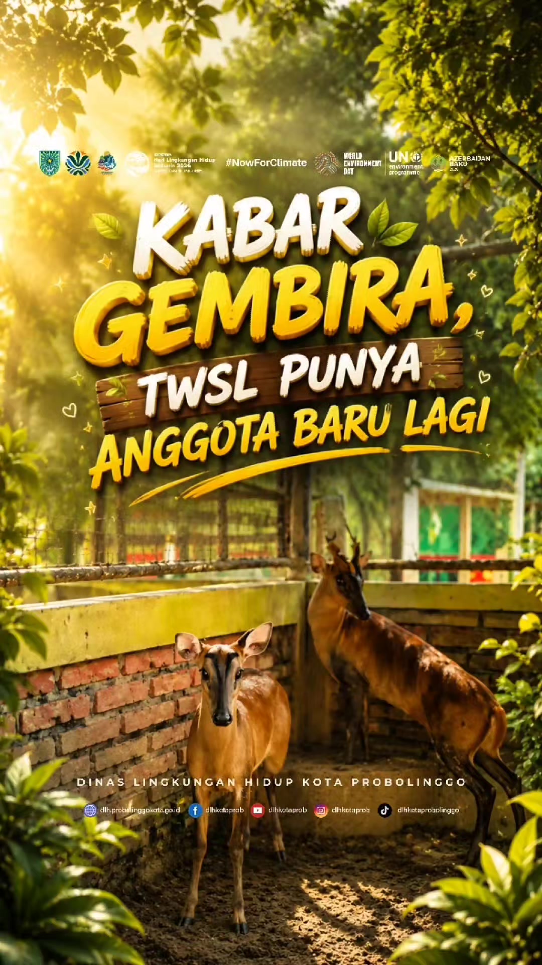 @DINAS LINGKUNGAN HIDUP
