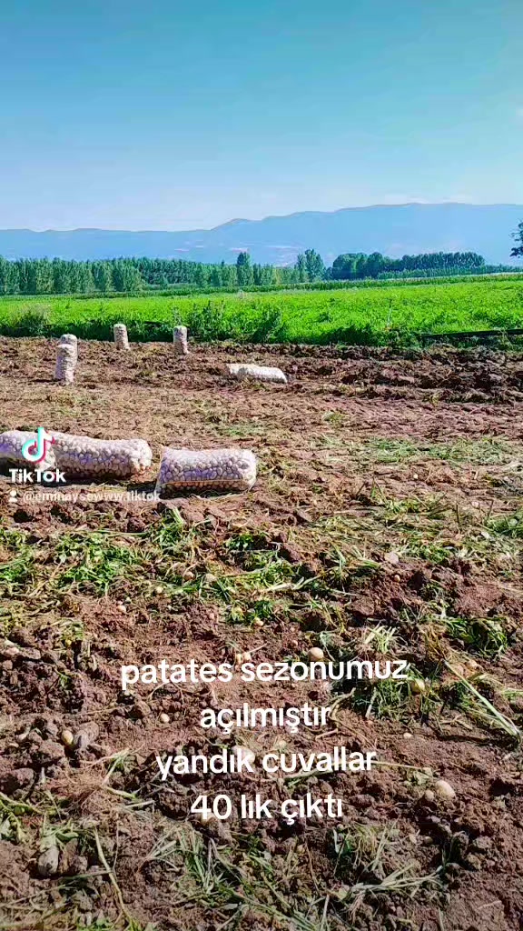 @❤️Emin ❤️ Ayşe Ilık ❤️