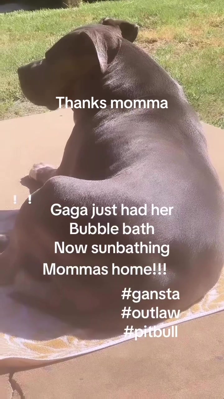 @ganstagirlsoklahoma