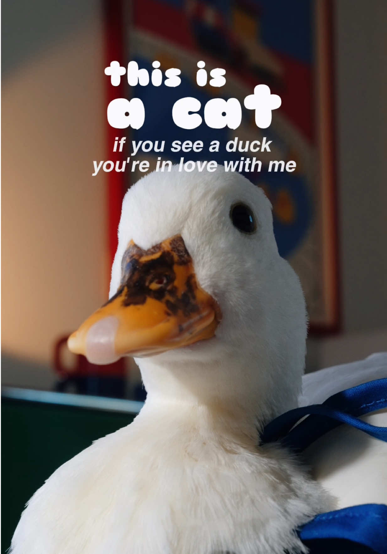 @ducks_in_space🪿🪿💦