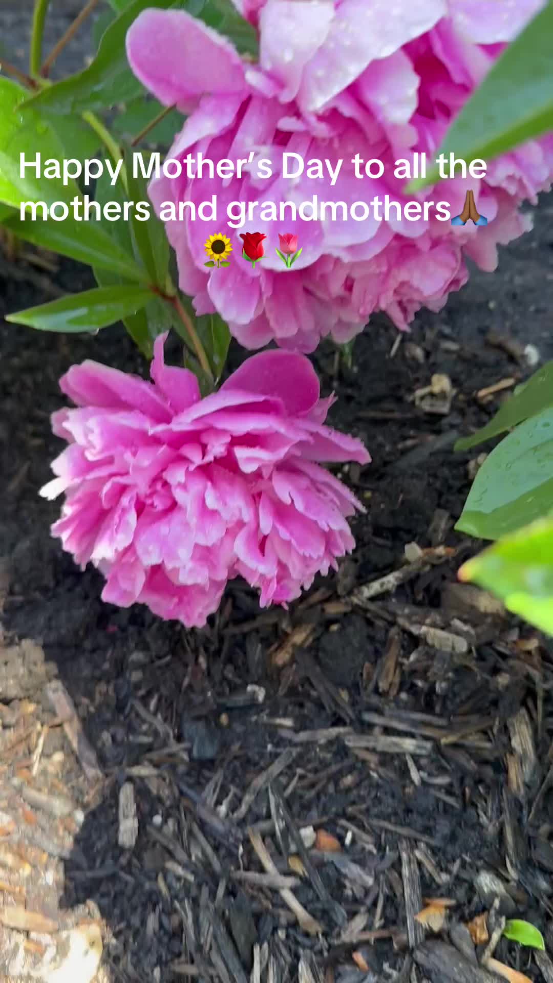 @prettypaulette66