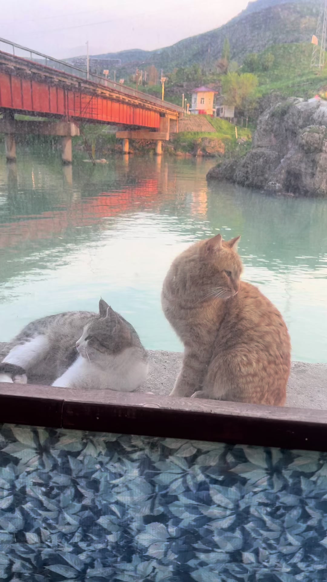 @๐ข๐ฌ๐ช๐ป๐น๐ฒ๐ท๐ด๐ช_๐ค๐ฆ