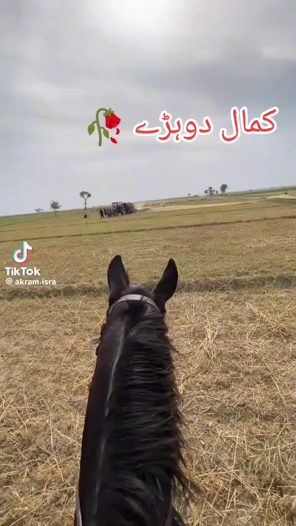 @Sheraz Niazi