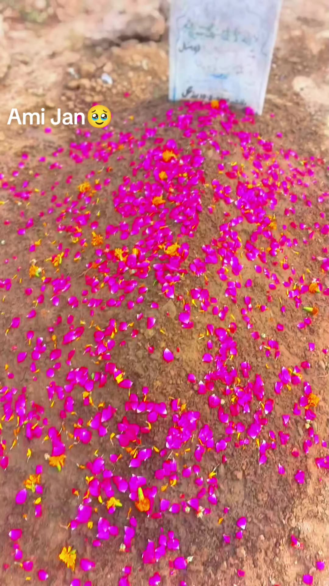@𓂀 𝔸𝕕𝕖𝕖𝕝 𝕜𝕙𝕒 𓂀