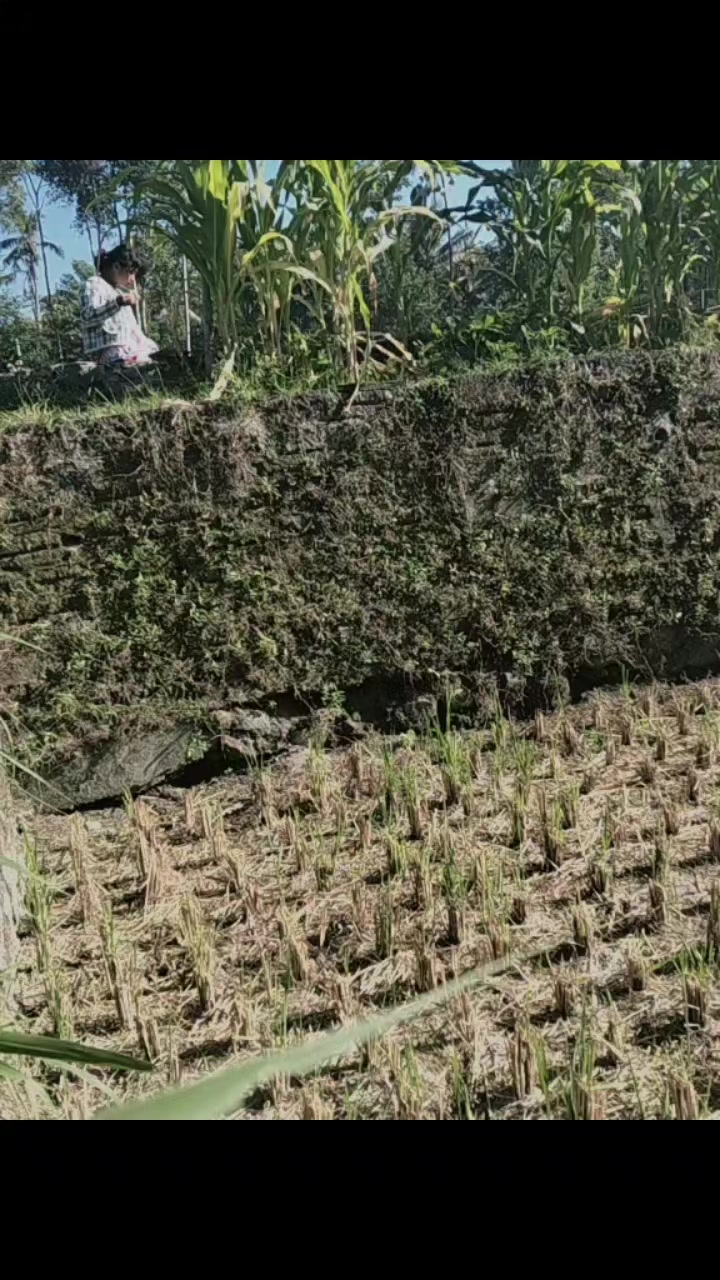@@rg
