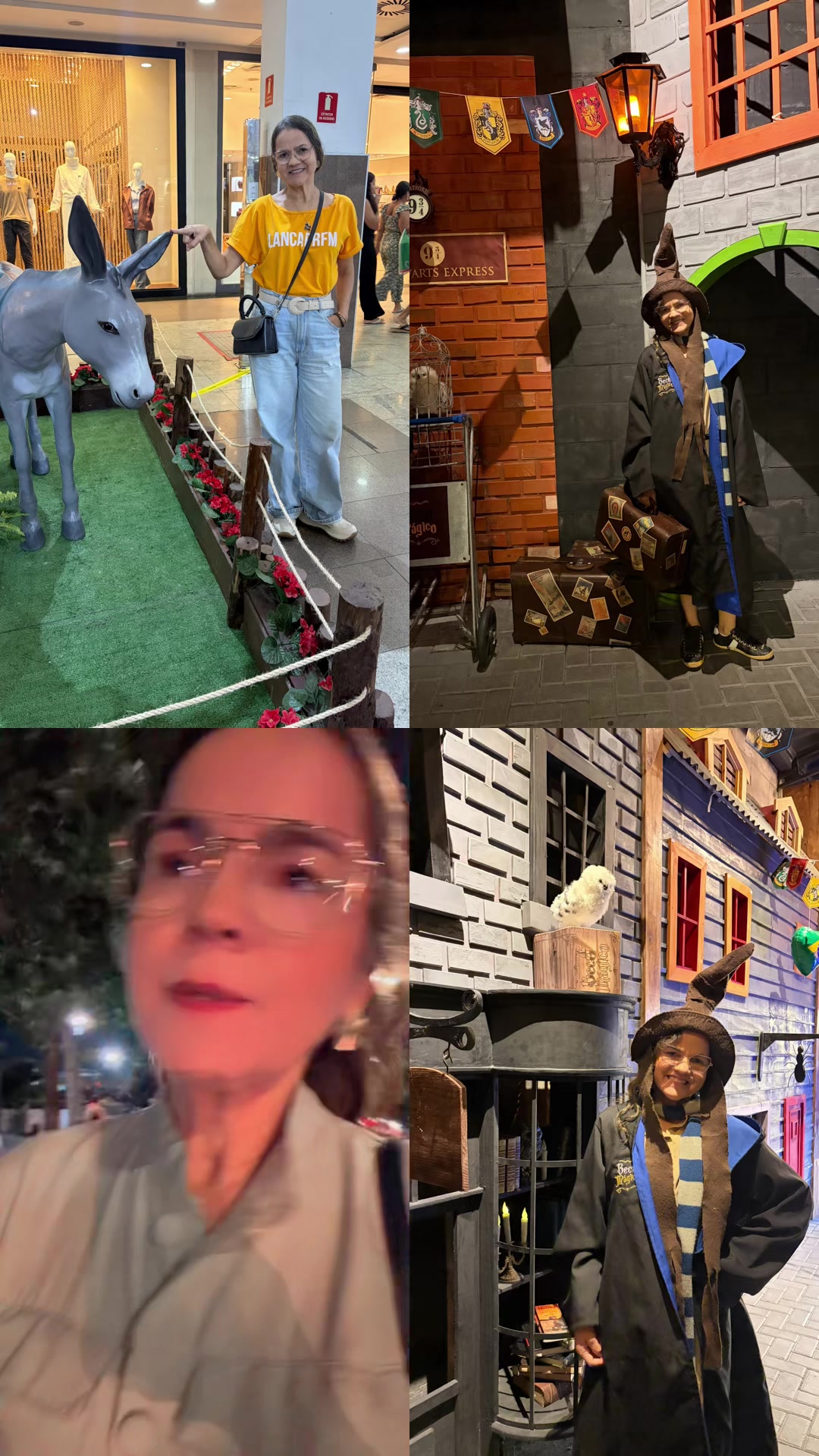 @DELMA ROLIM🇧🇷