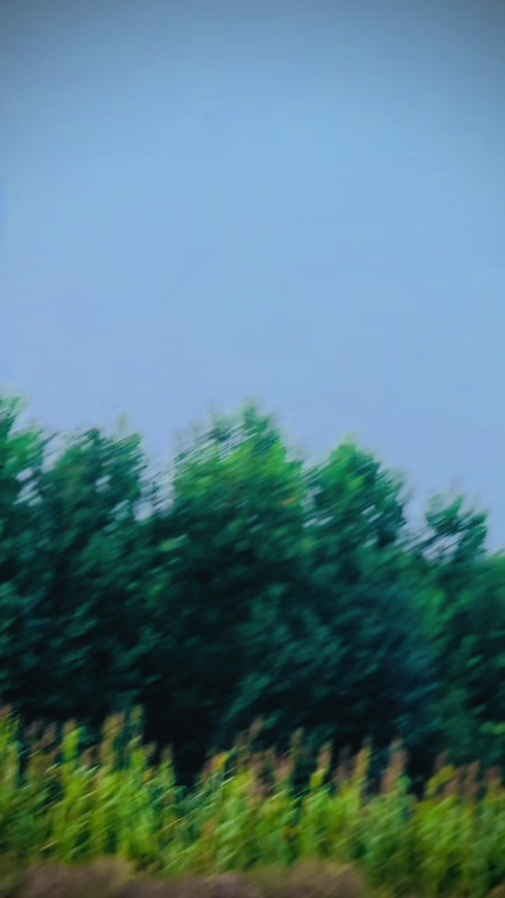 @𝘼ل𝙎𝙖𝙝𝙞𝙡🚩