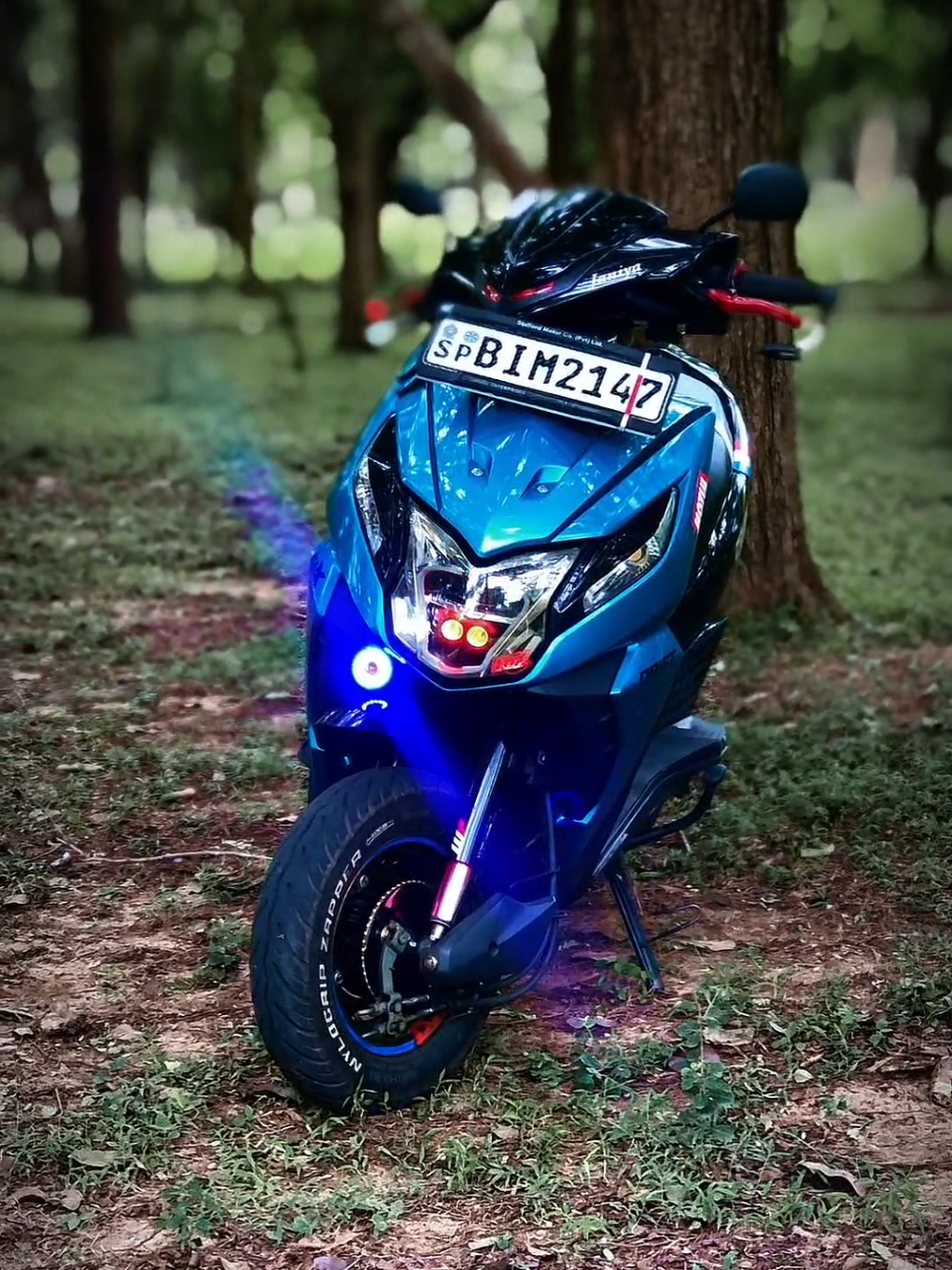 @*&bull;.&cedil;♡𝑩𝑳𝑼𝑬💙𝑩𝑰𝑹𝑫♡&cedil;.&bull;*