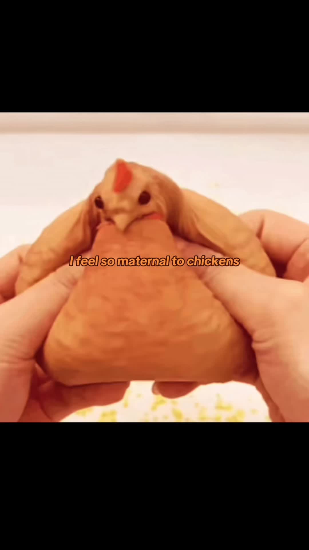 @🪼&hellip;..!!`★&acute; -&hellip; 🐓 &hellip;-`★&acute;!!&hellip;..🪼