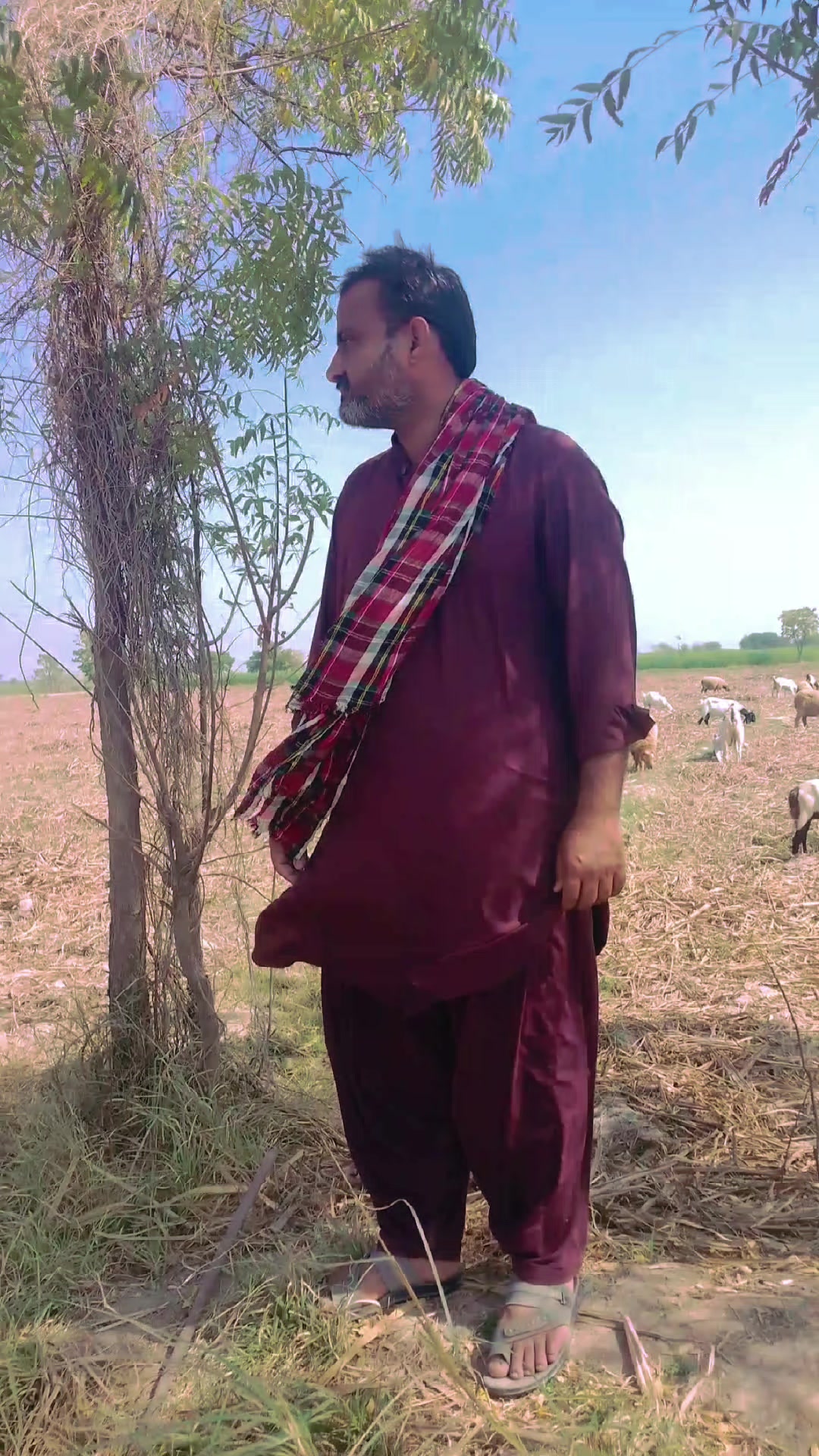 @Khalid Baloch