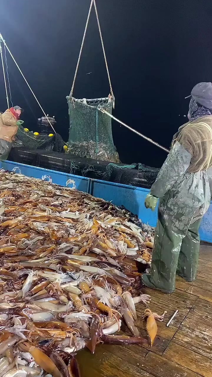 @🛳️hàmìdø⚓⚡Ræysë🐬🏴☠️