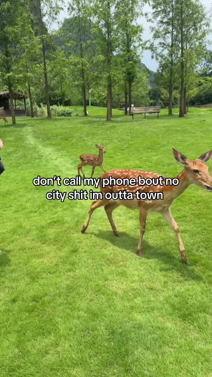 @A
