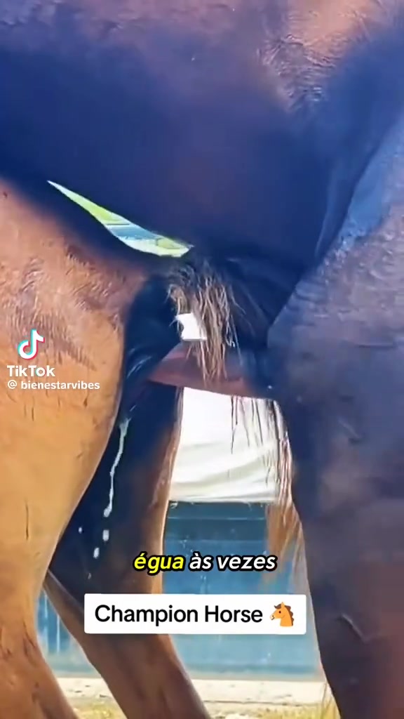 @user56202062159