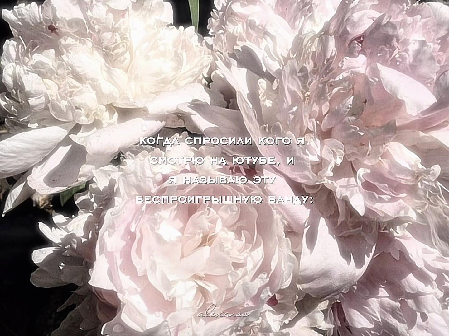@𝐚𝐥𝐞𝐱𝐚.𝐬𝐬