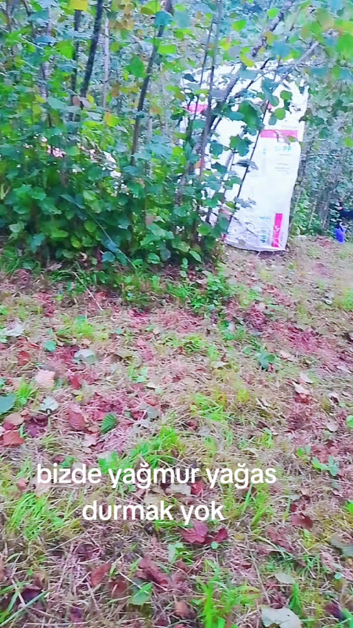 @ordulum