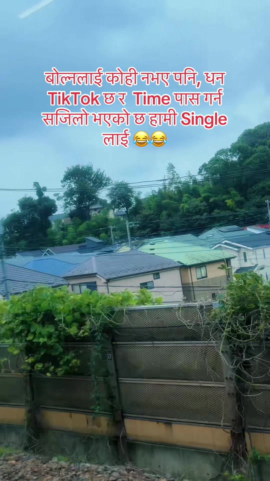 @🕊️