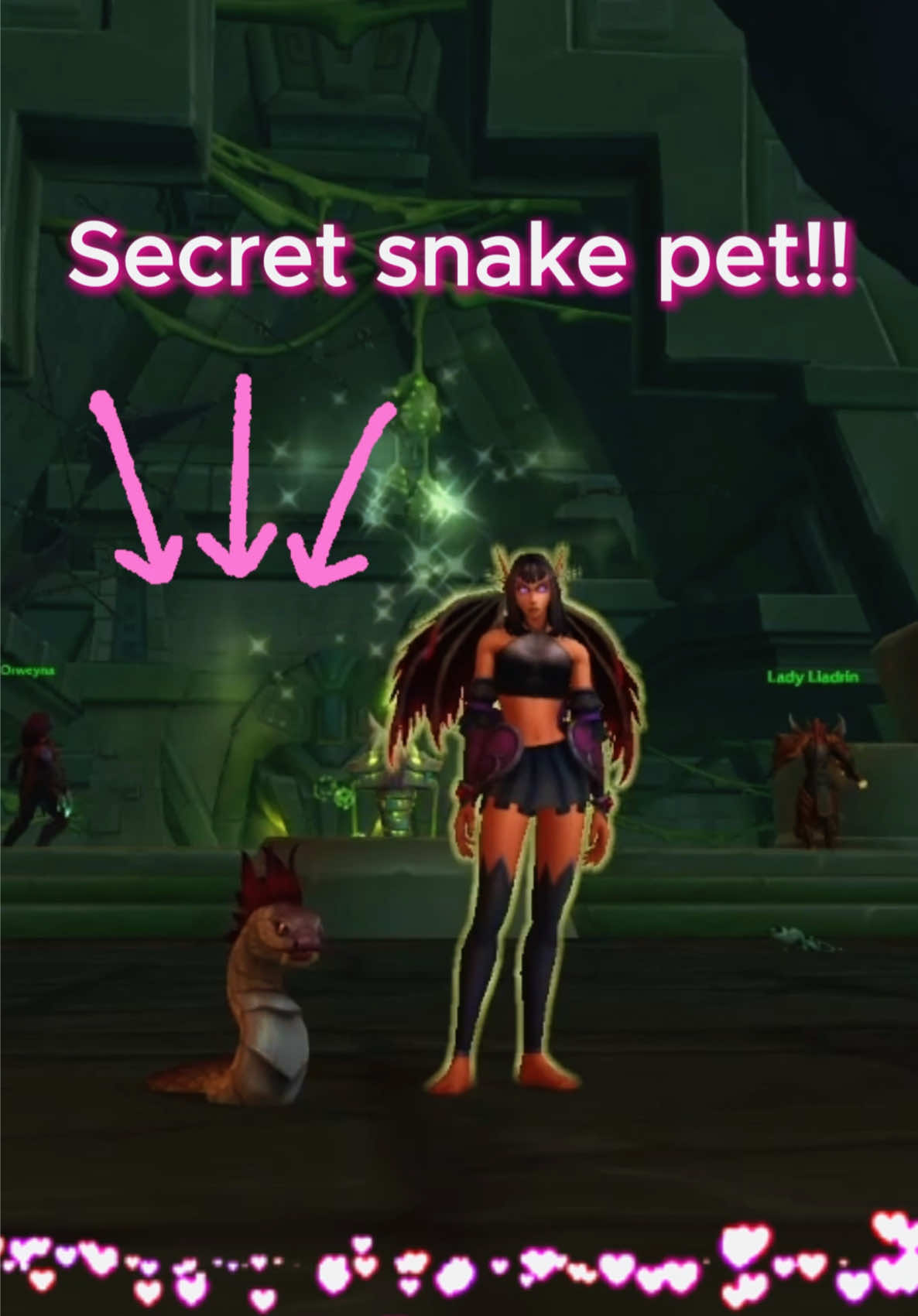 @TabbyKatGaming | WoW Guides