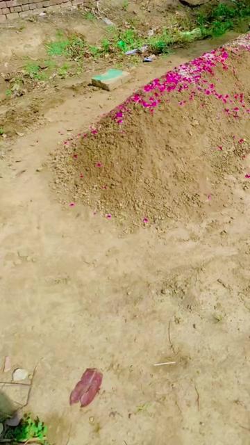@Afsar🥀🌾کھوکھر143