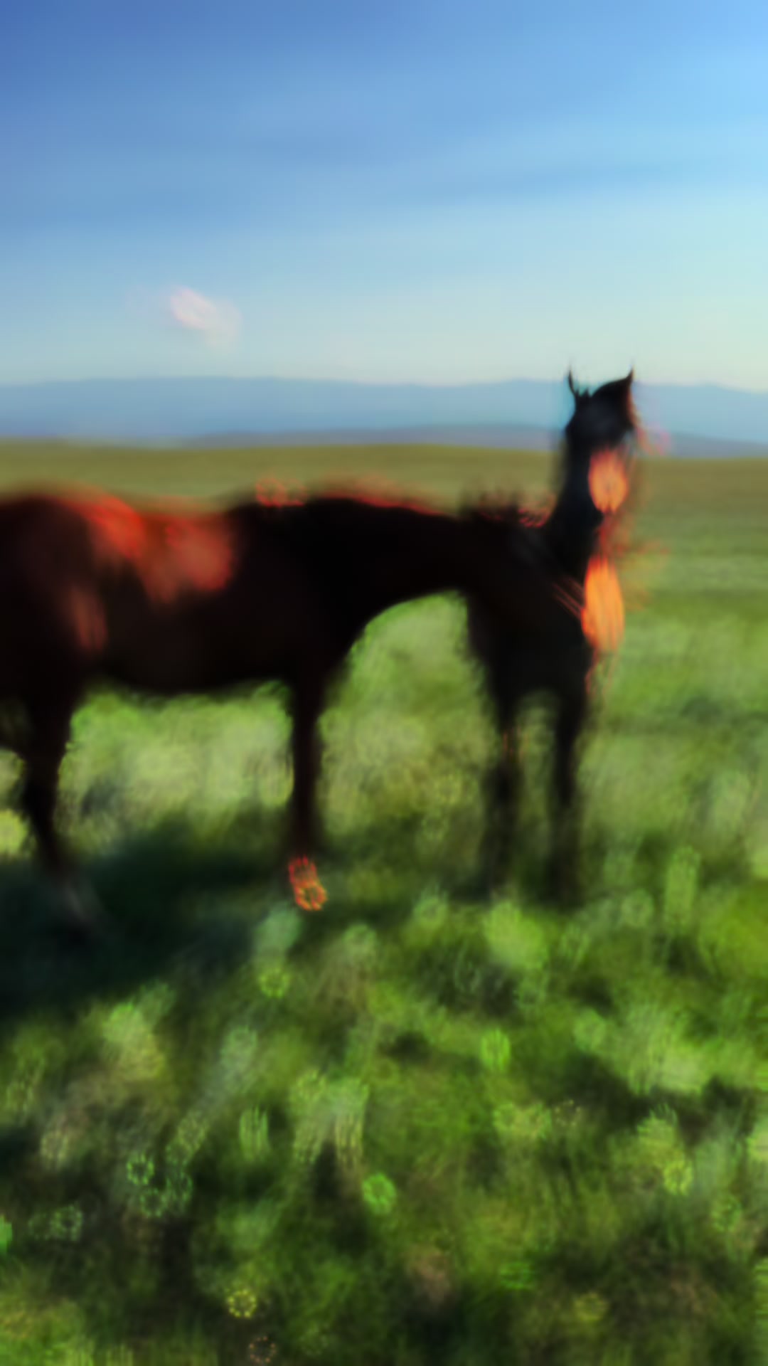 @MakvinStud