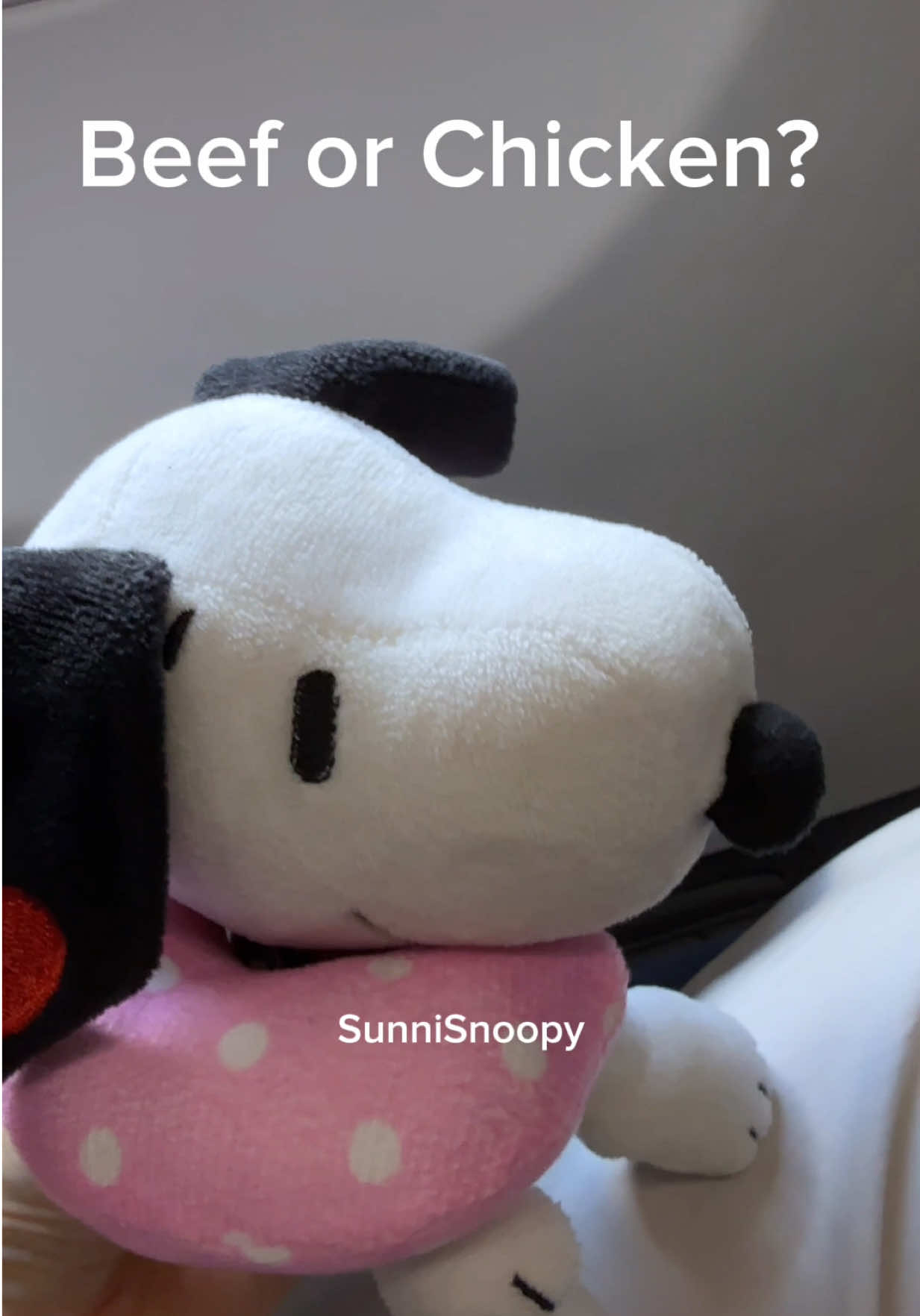 @SunniSnoopy | PEANUTS