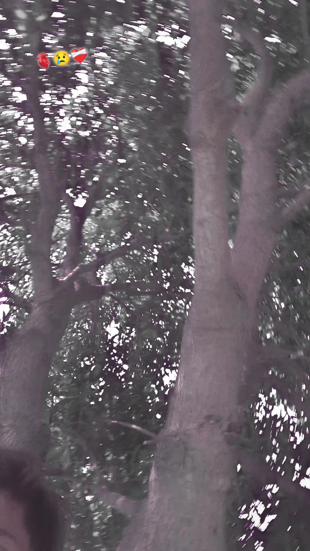 @R ░A░M░J░A░N♡࿐