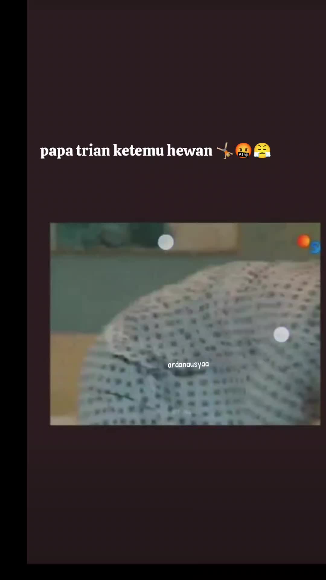 @ardanausya