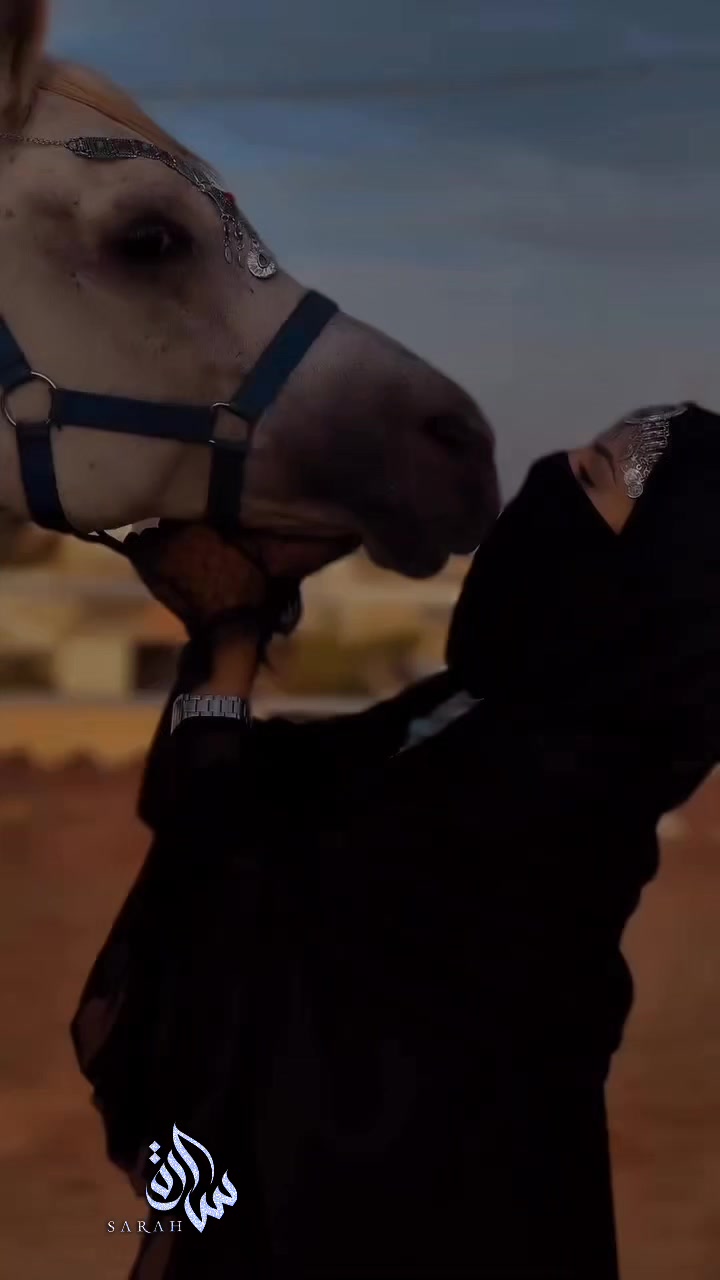 @ﺳــ٘ۛᬼـ̸͚ـــٱࢪَﮪ 🇪🇬