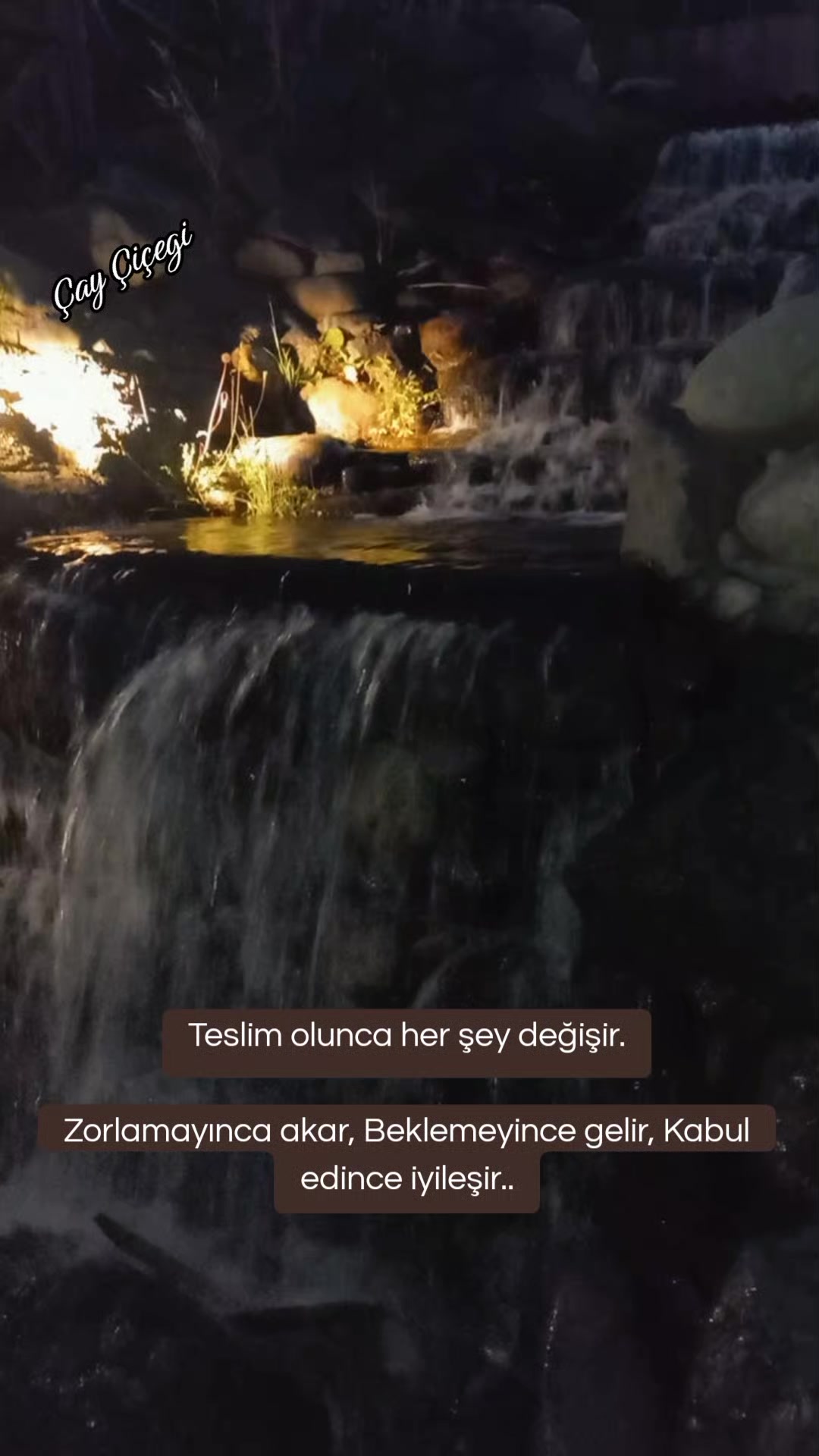 @&Ccedil;ay &ccedil;i&ccedil;eği-53