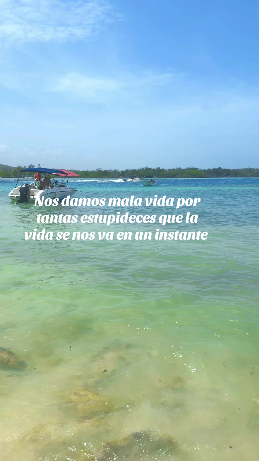 @Dra María Fonseca