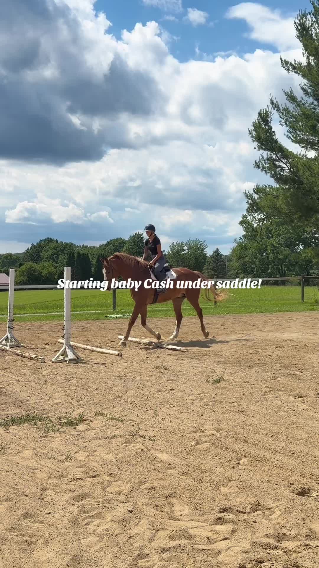 @Lunar Hill Equestrian