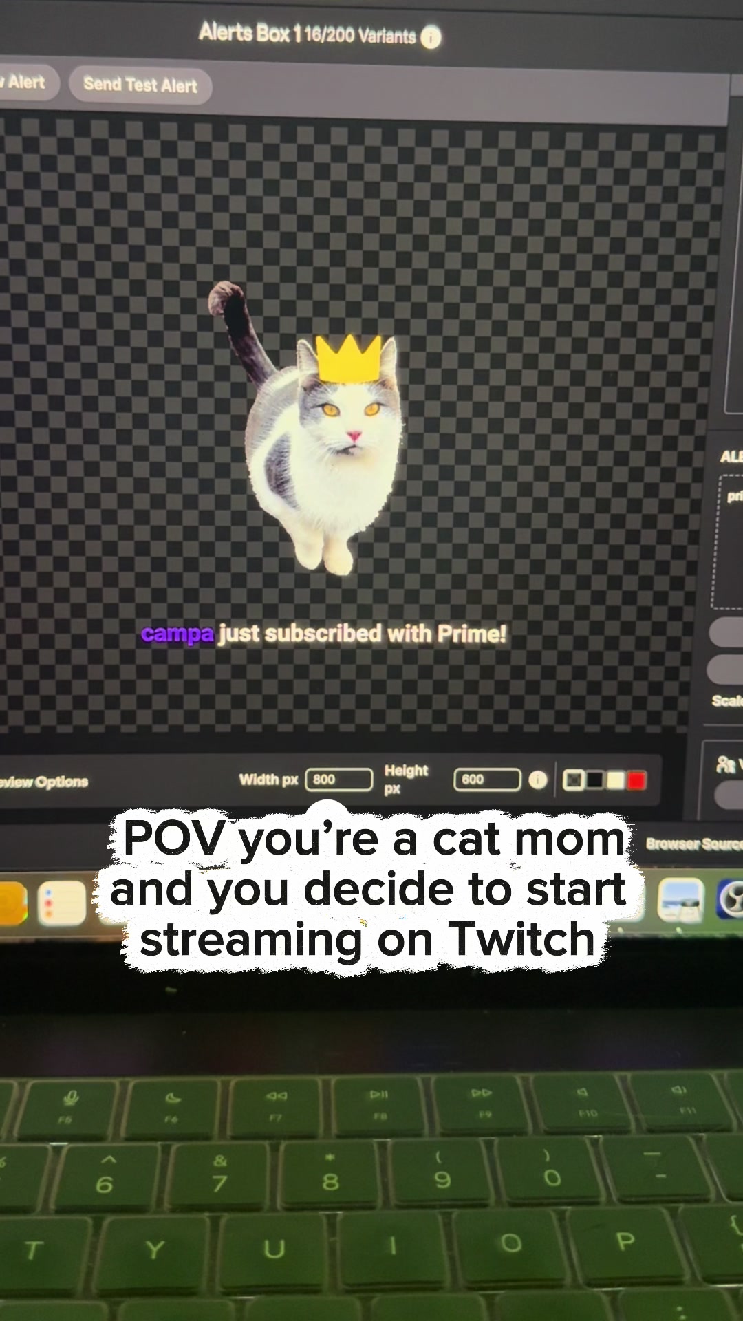 @Holly Auna