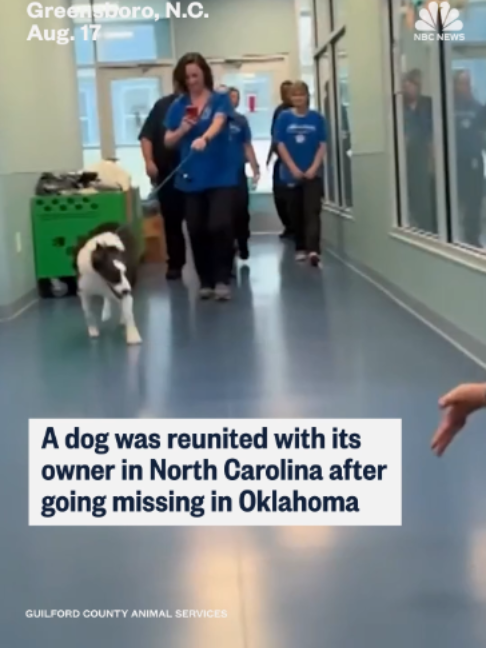 @nbcnews
