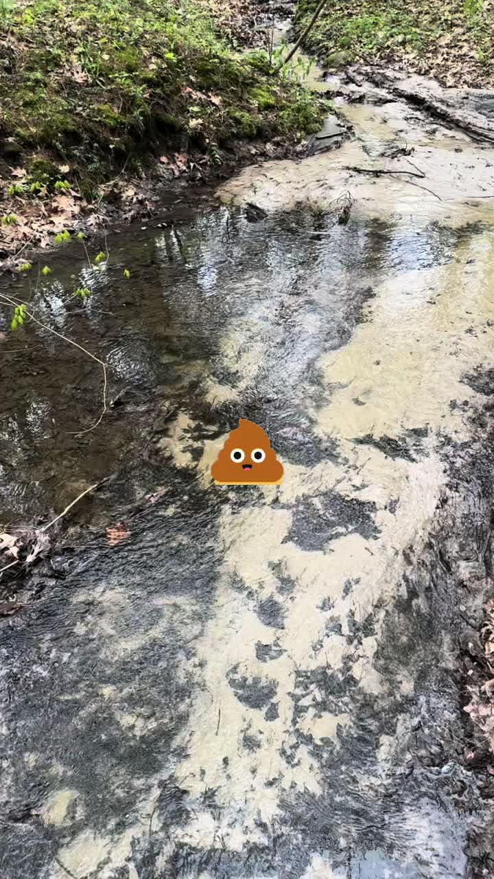 @Starved Rock State Park