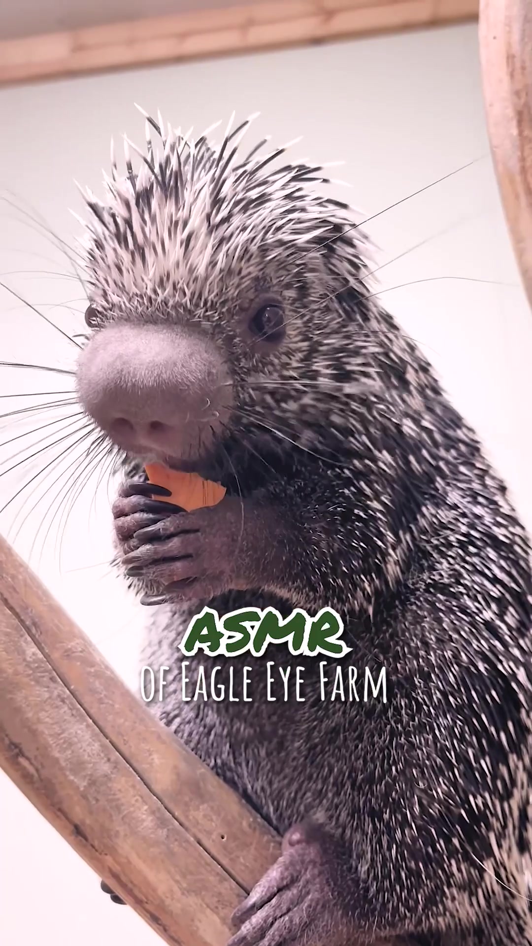 @Eagle Eye Farm