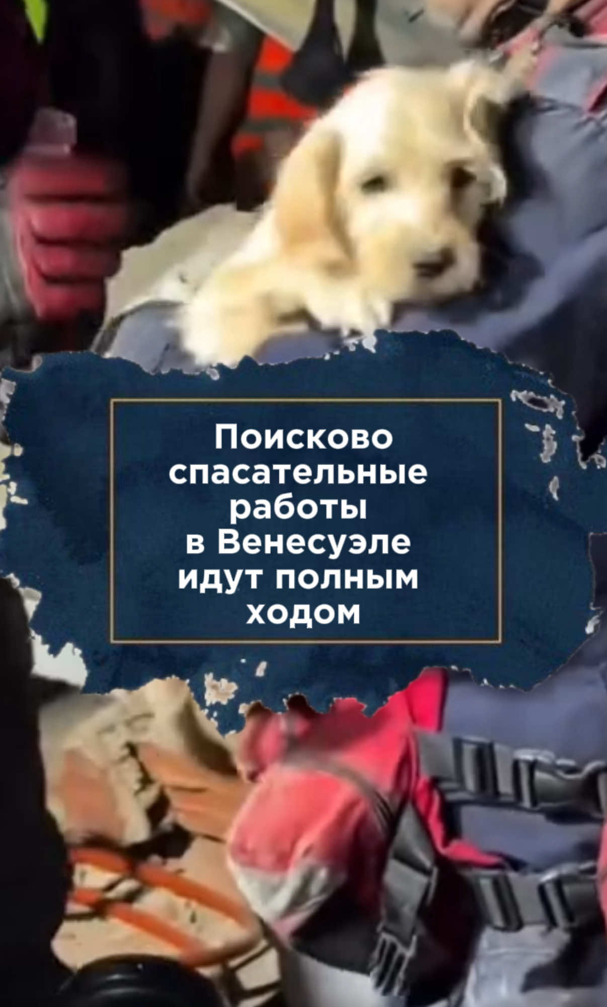 @zakon.kz ➡️ Новости Казахстана