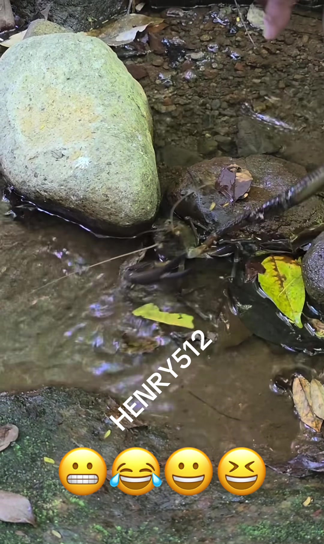 @HENRY512