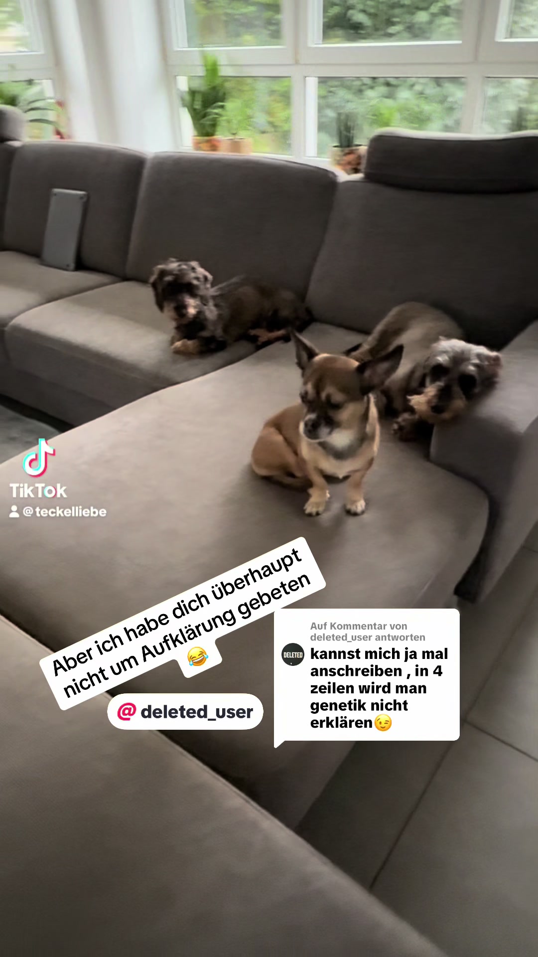 @Ichschützekinderundtiere