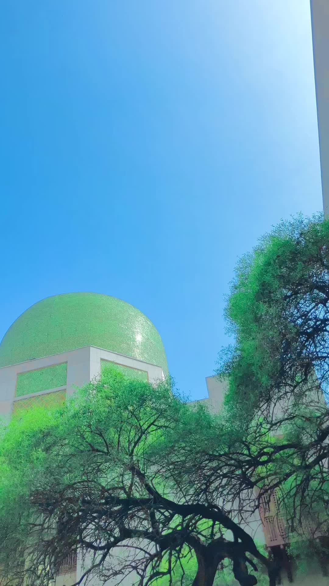 @AMEER KHAN 007🥷