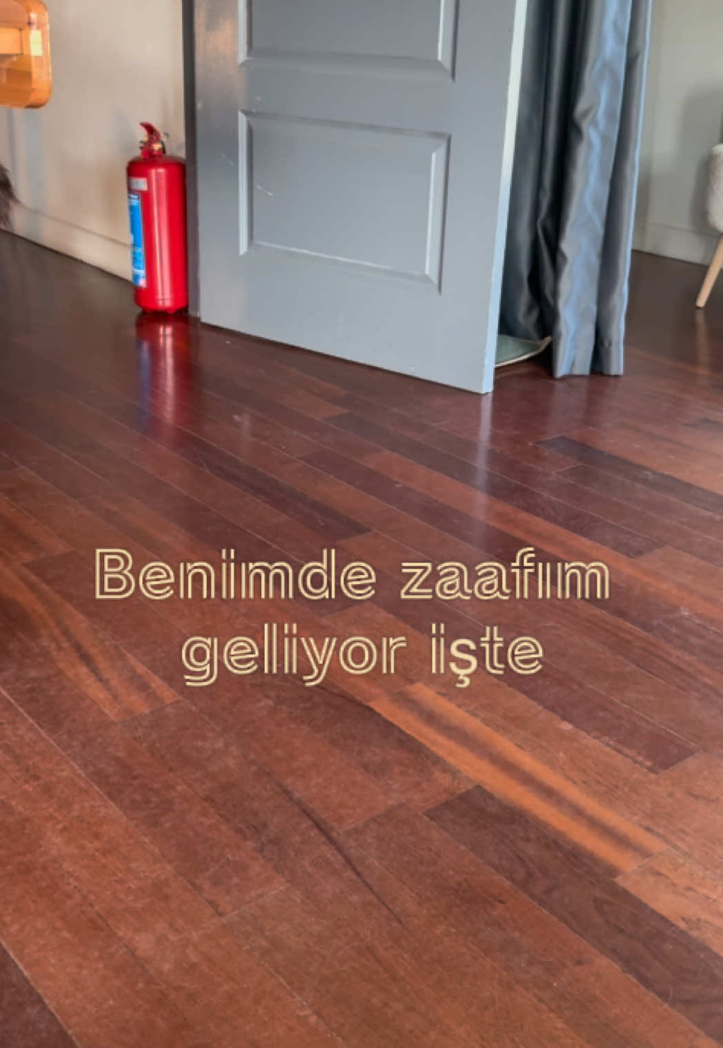 @egevemini