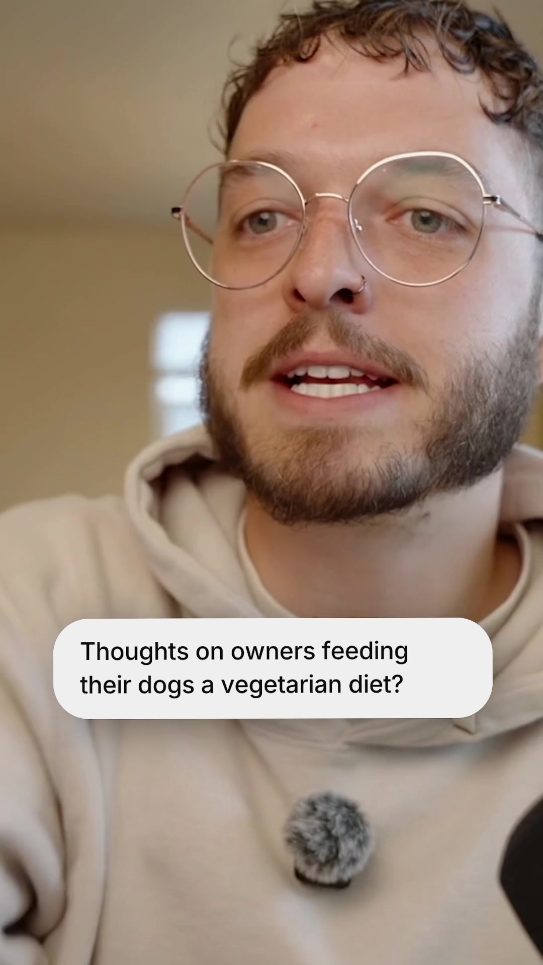 @The BK Pets - Dog Food Tips