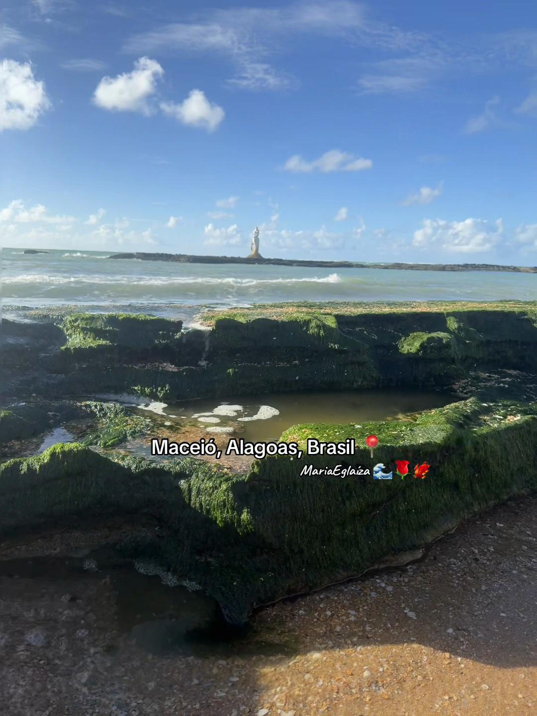 @MARIA🌊🌹🐦🔥